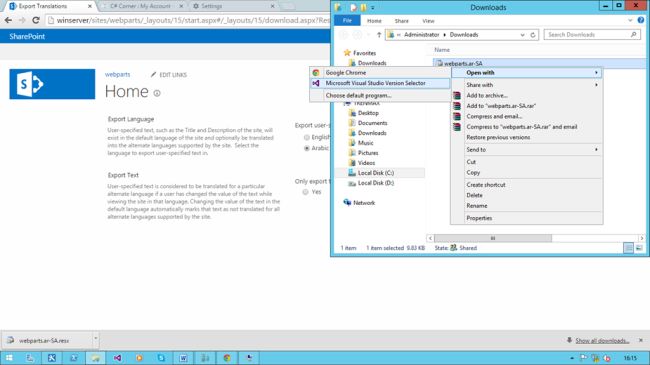 file in visual studio